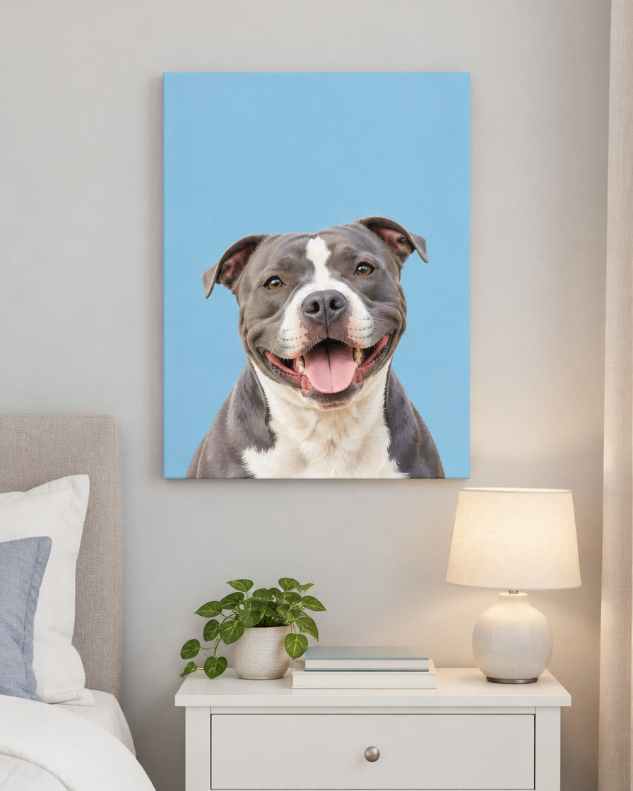 Example pet canvas: a staffy in the modern style on a plain colour