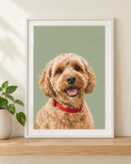 Personalised pet portrait print of a cavoodle on a sage background in a white frame
