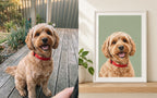 Pet photo beside the finished illustrated pet portrait print made from it