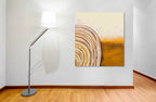 Swirling Away on the wall