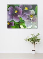 Violets on the wall