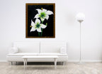White Blooms on the wall