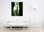 Unconcealed on the wall