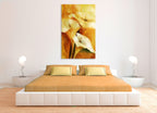 Modern242 on the wall
