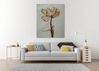 Zarah Collection 17 on the wall
