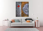 Solitary Blossom on the wall
