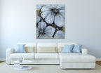 Zarah Collection 34 on the wall