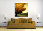 Modern195 on the wall