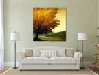 Modern195 on the wall