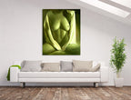 Flaunt on the wall