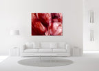 Cherry Blossoms  on the wall