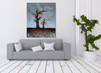 Zarah Collection 23  on the wall
