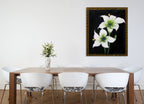 White Blooms on the wall