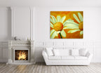 Daises Two on the wall