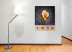 Unblemished on the wall