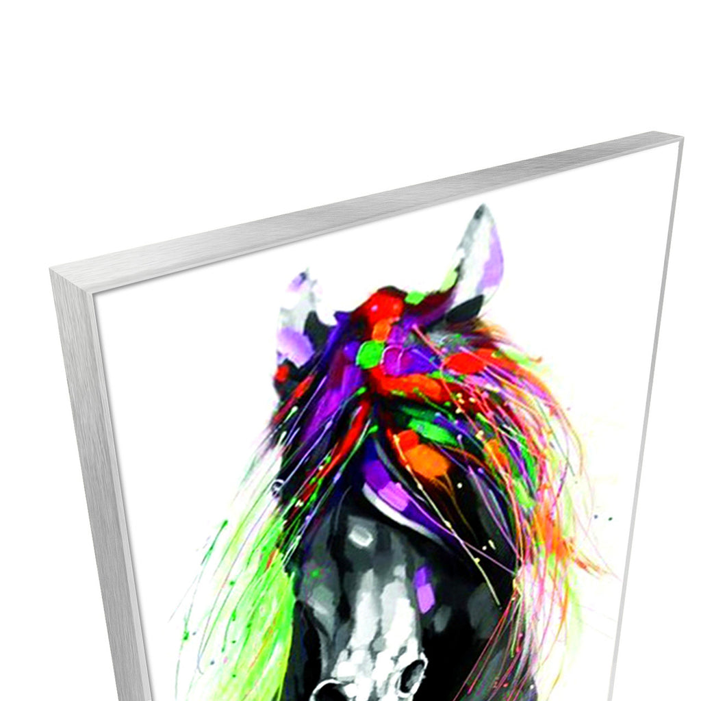 Colorful Horse