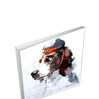 MACY-002