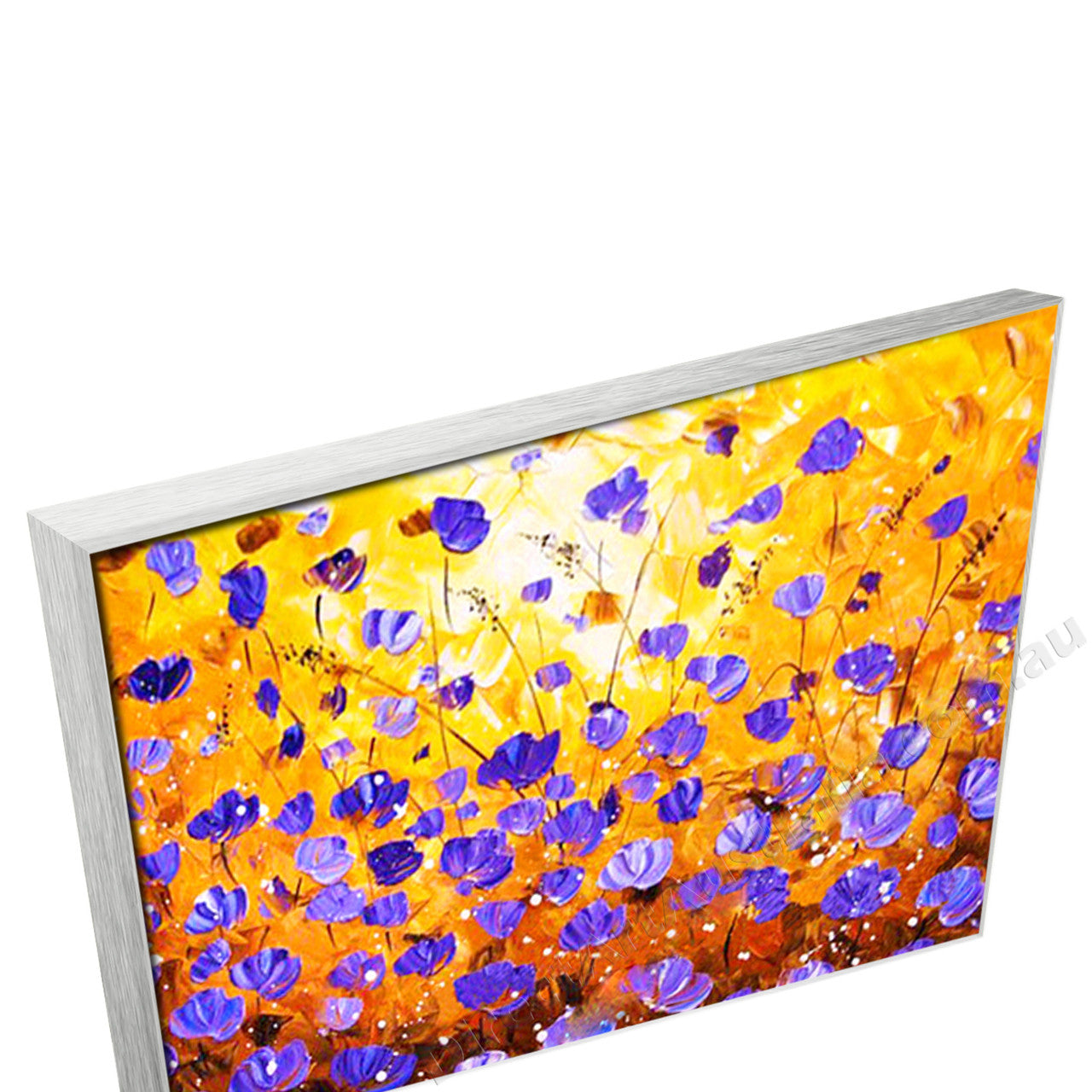 Silver Floating Frame