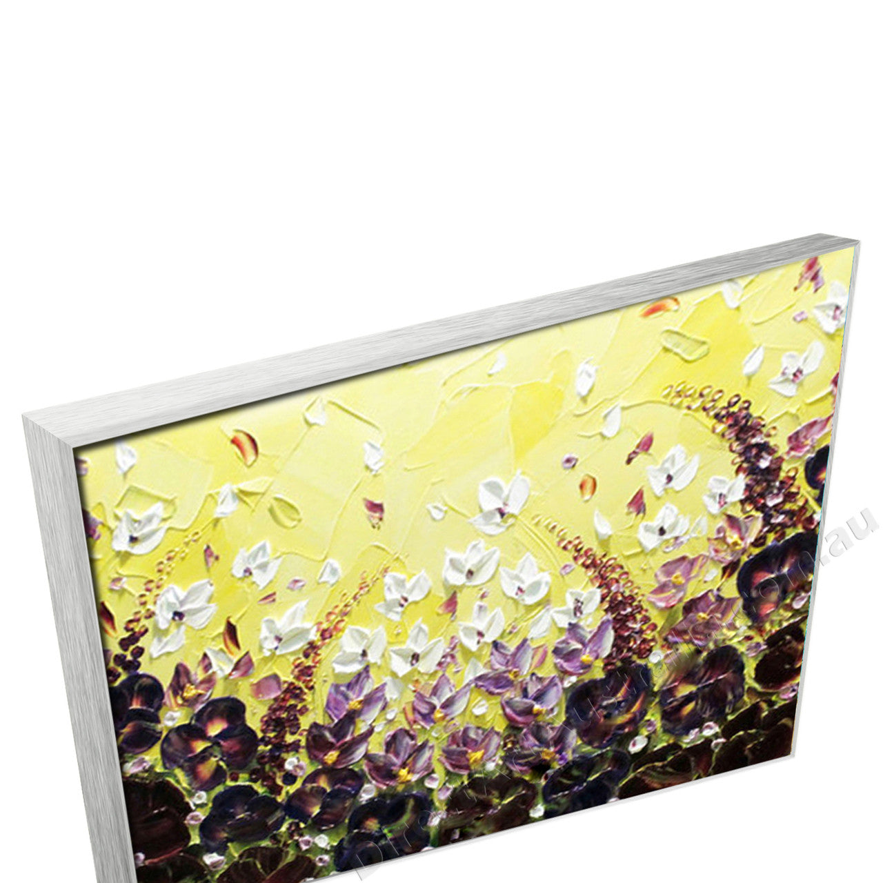 Silver Floating Frame