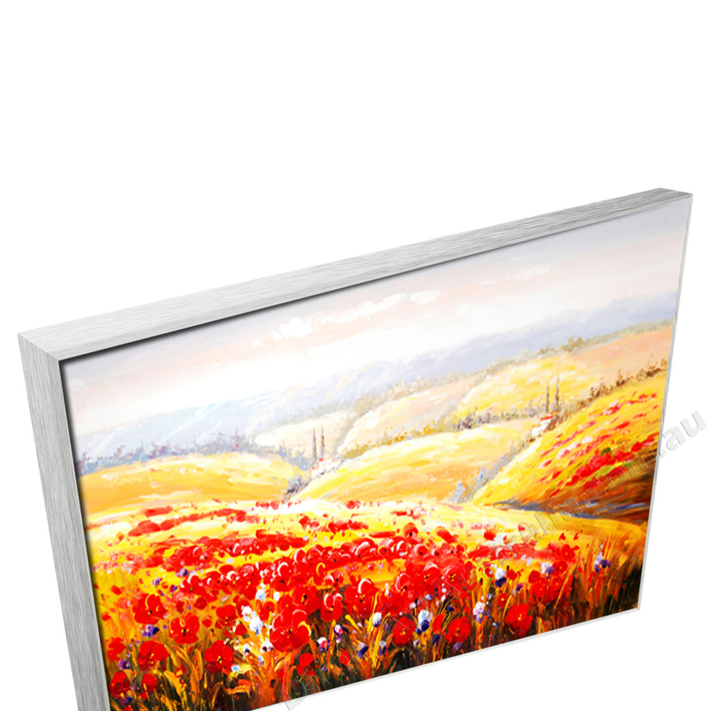 Silver Floating Frame