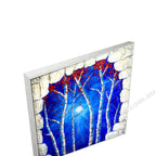Silver Floating Frame