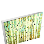Silver Floating Frame