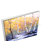 Silver Floating Frame
