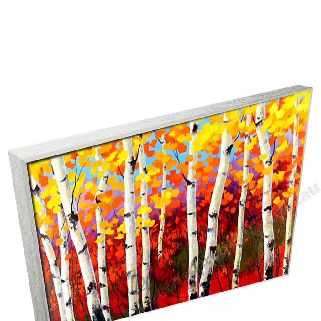 Silver Floating Frame