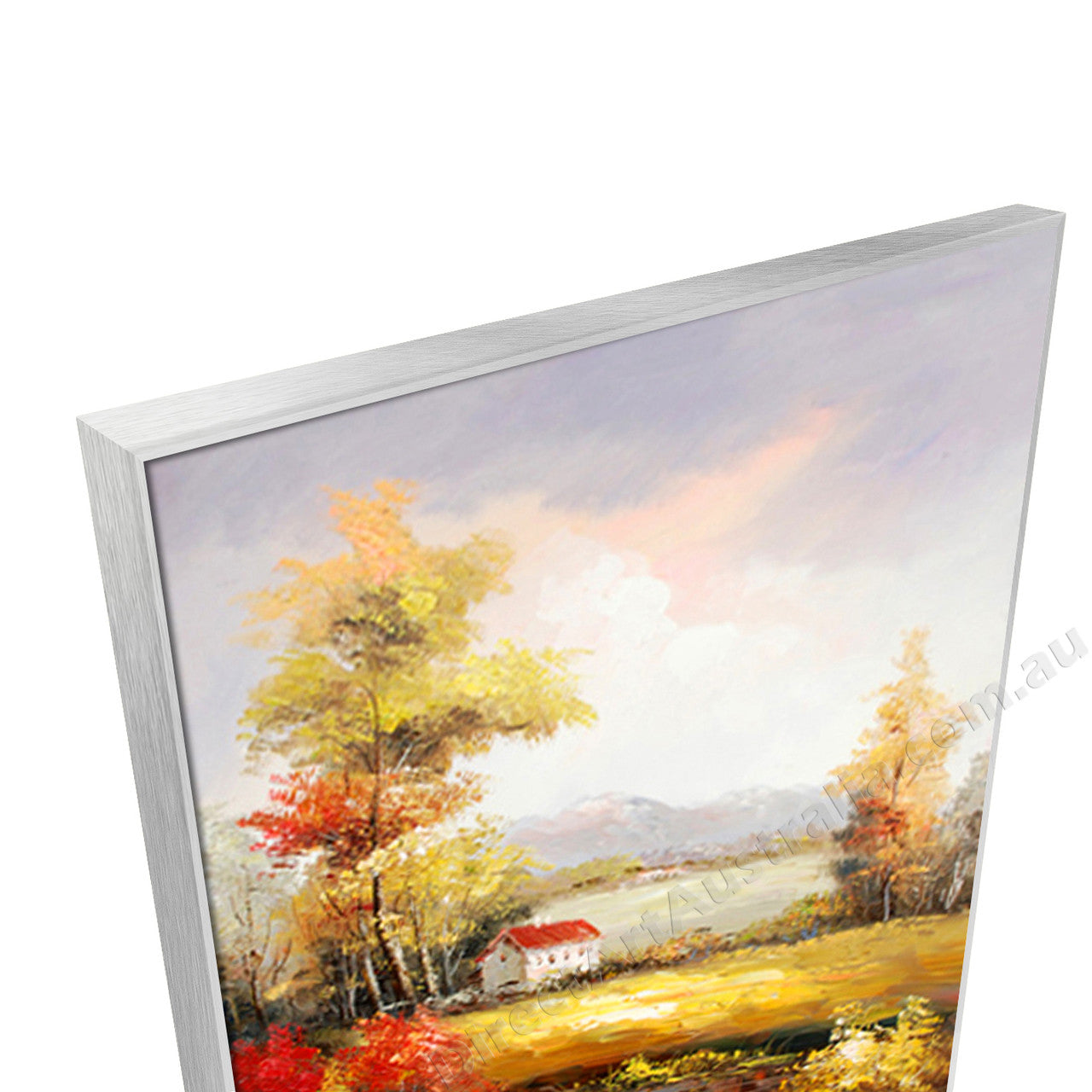 Silver Floating Frame