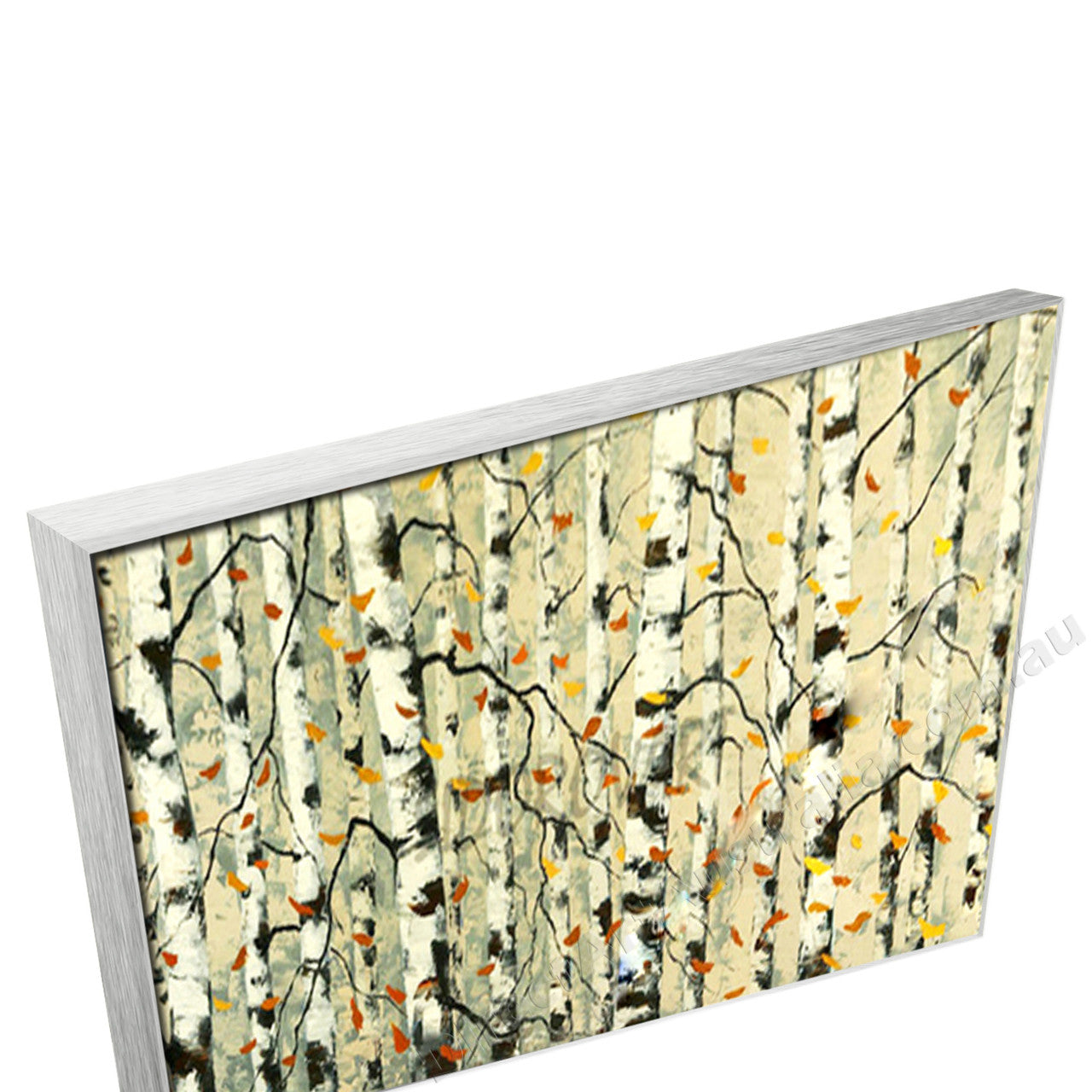 Silver Floating Frame