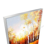 Silver Floating Frame