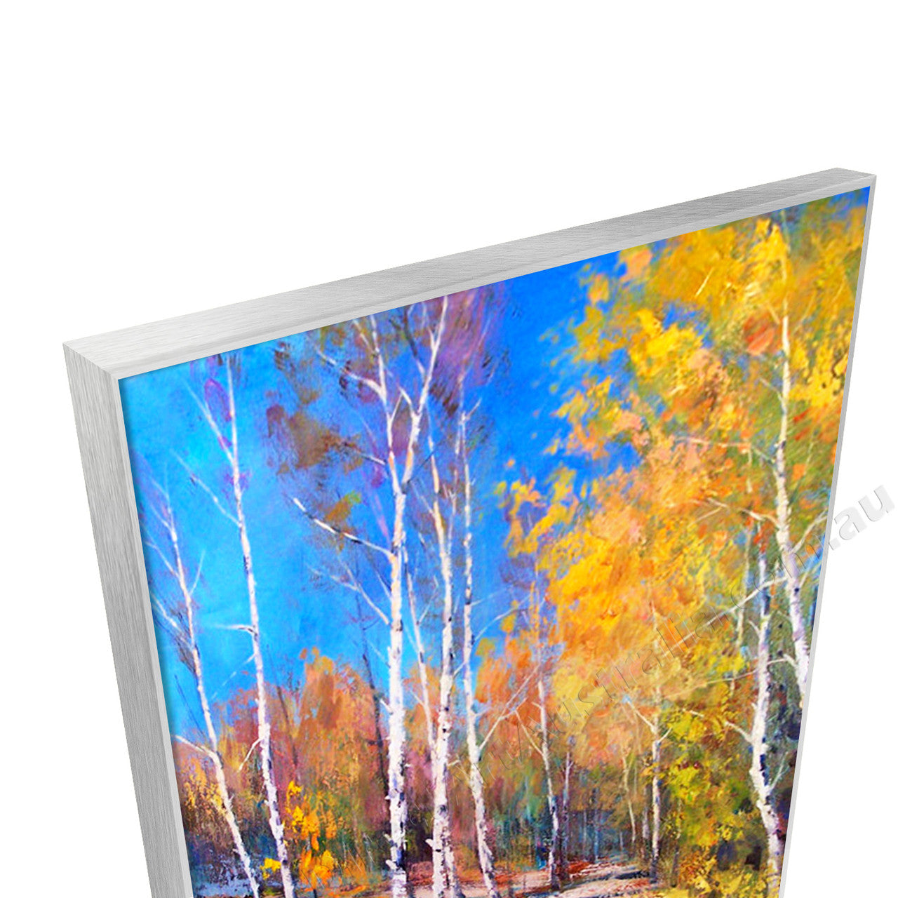 Silver Floating Frame