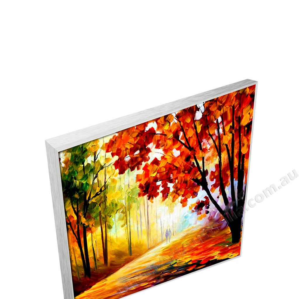 Silver Floating Frame