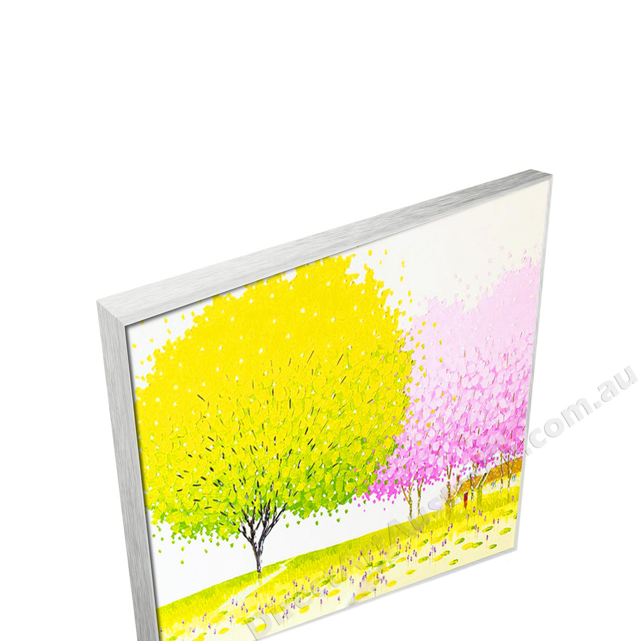 Silver Floating Frame