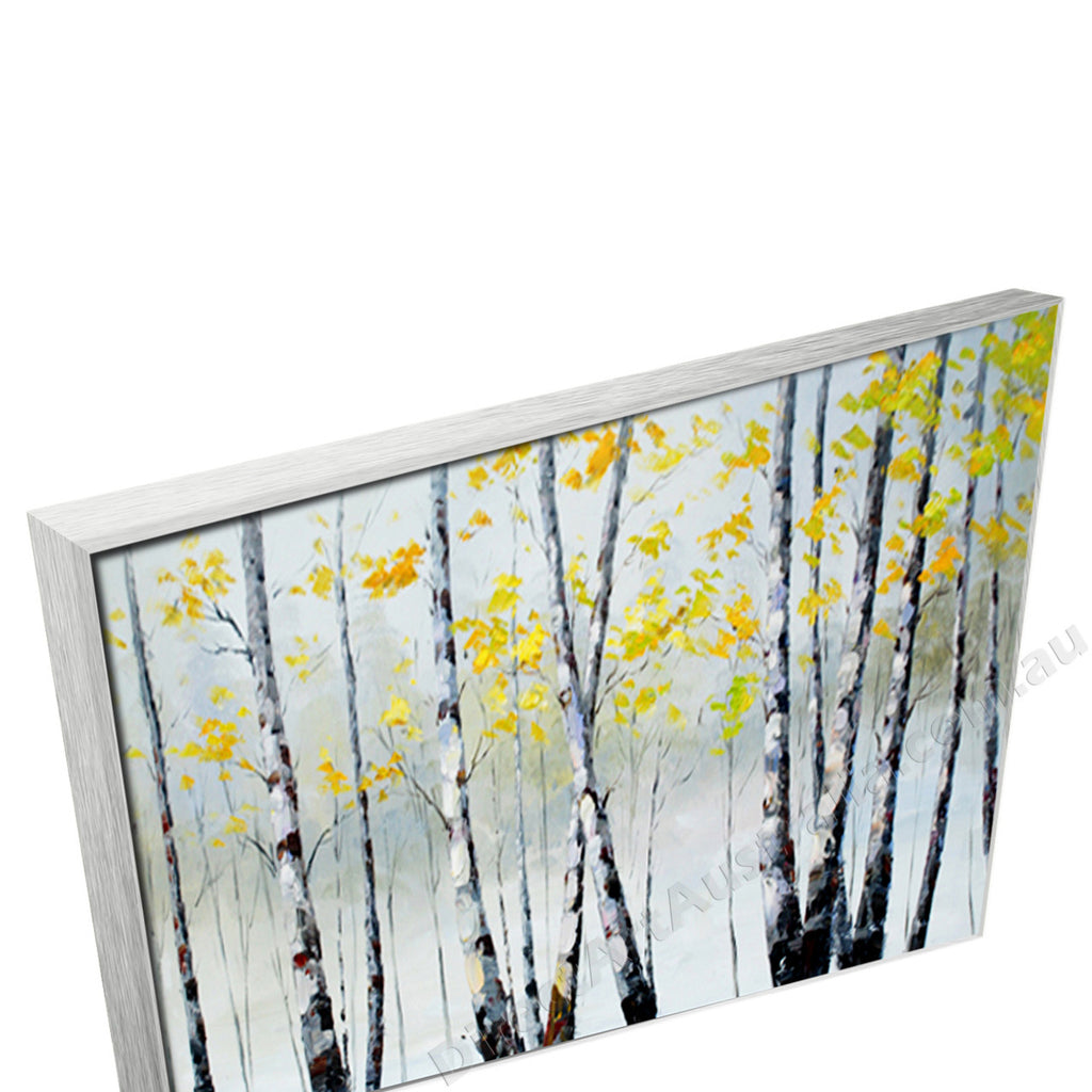 Silver Floating Frame