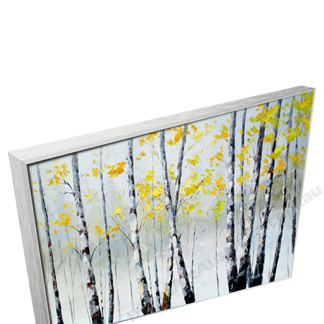 Silver Floating Frame