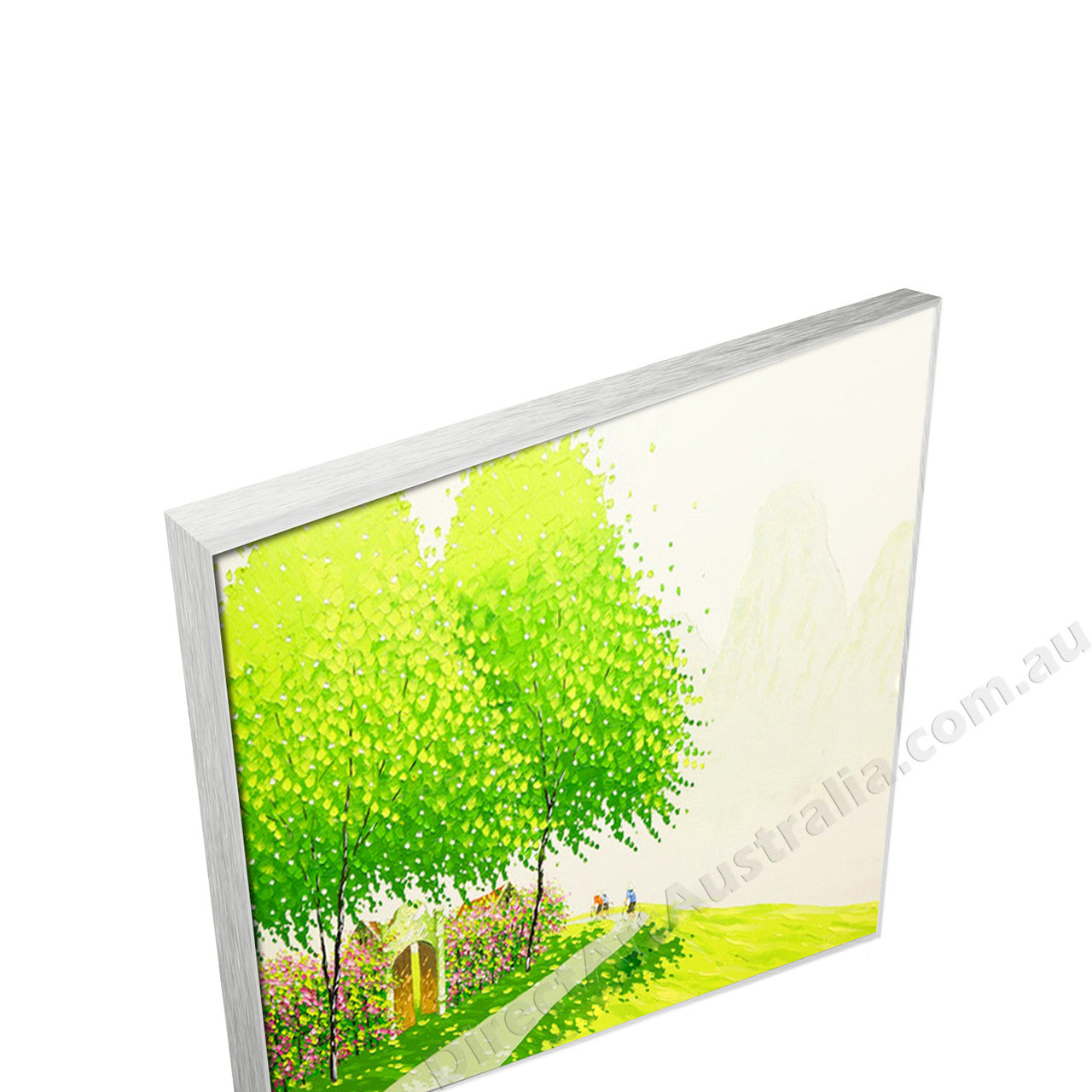 Silver Floating Frame