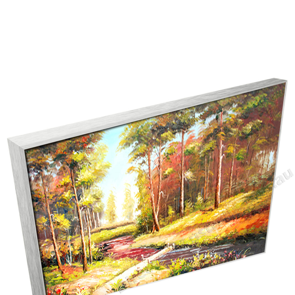 Silver Floating Frame