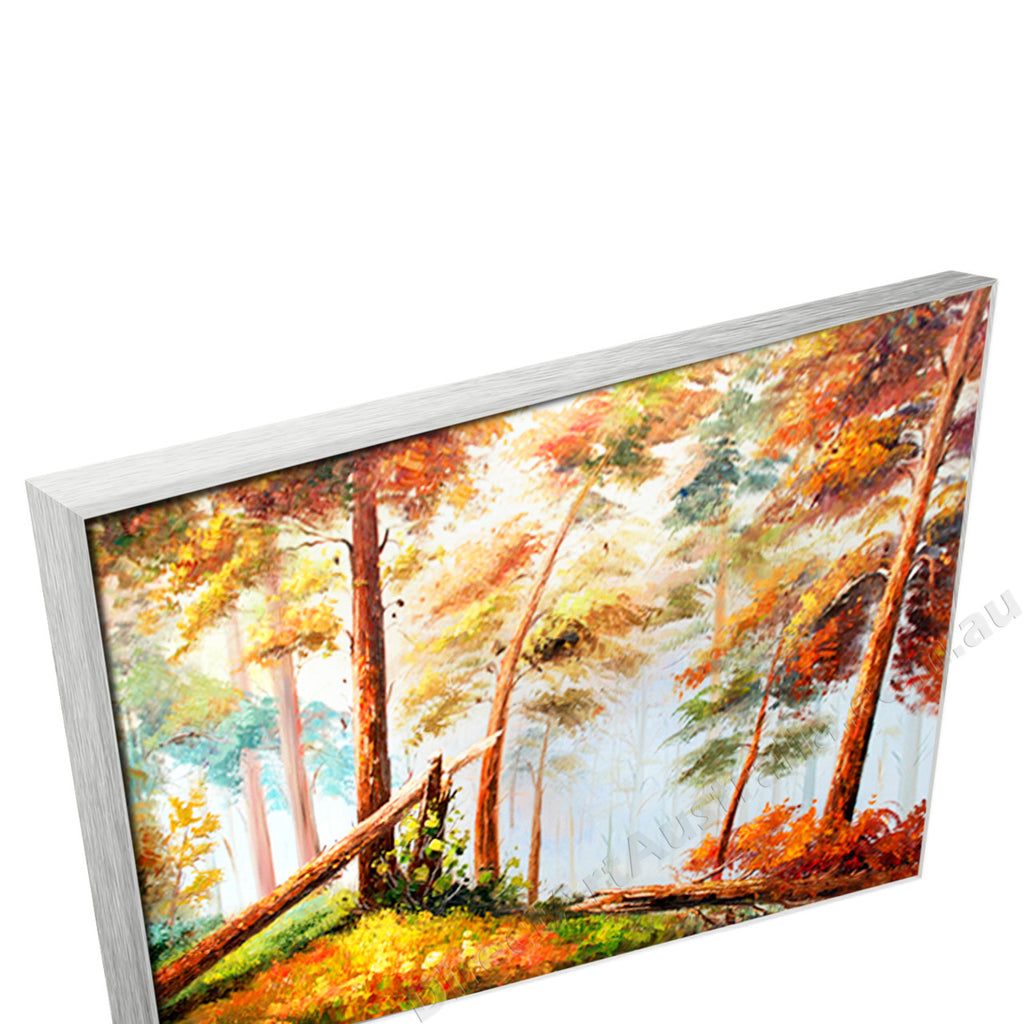 Silver Floating Frame