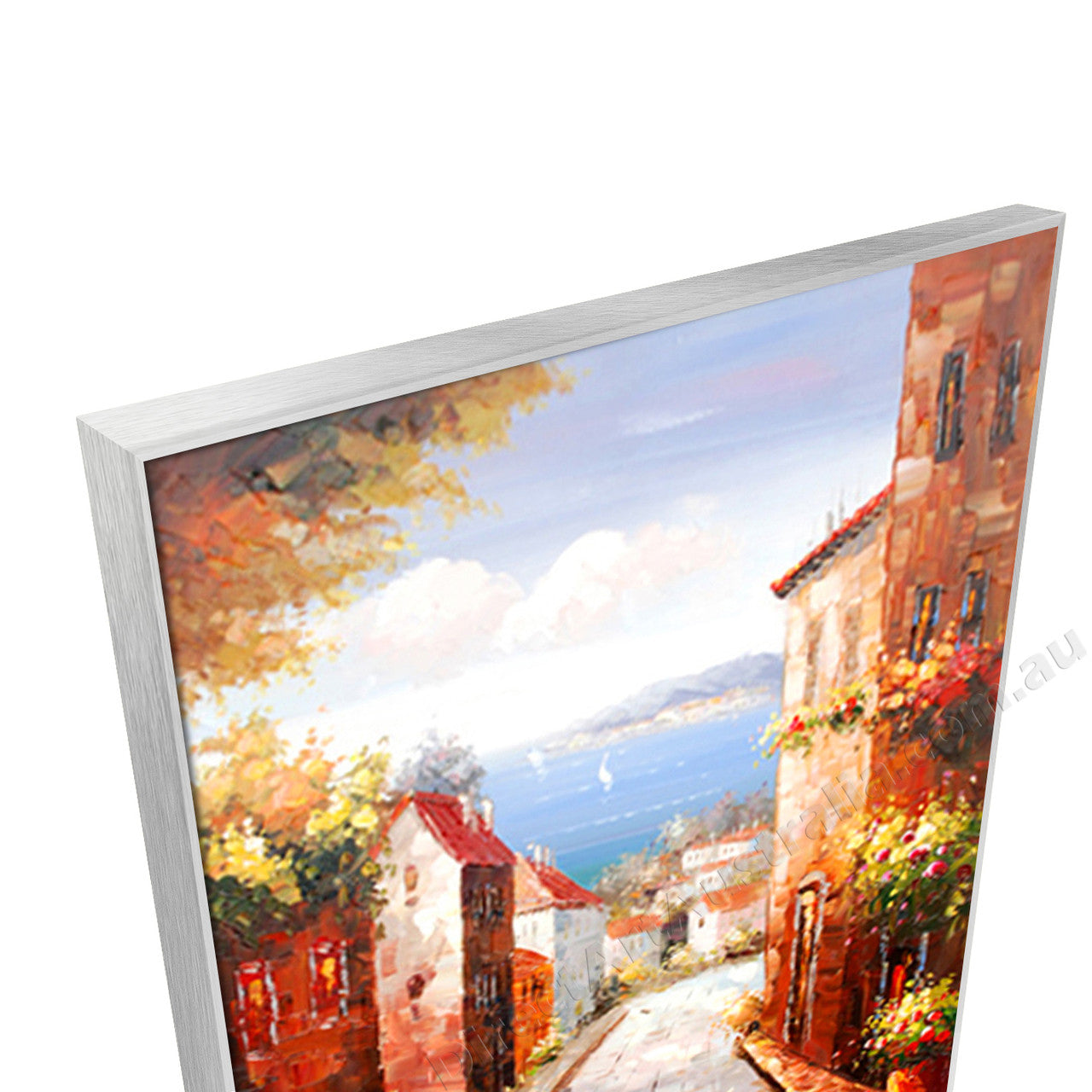 Silver Floating Frame