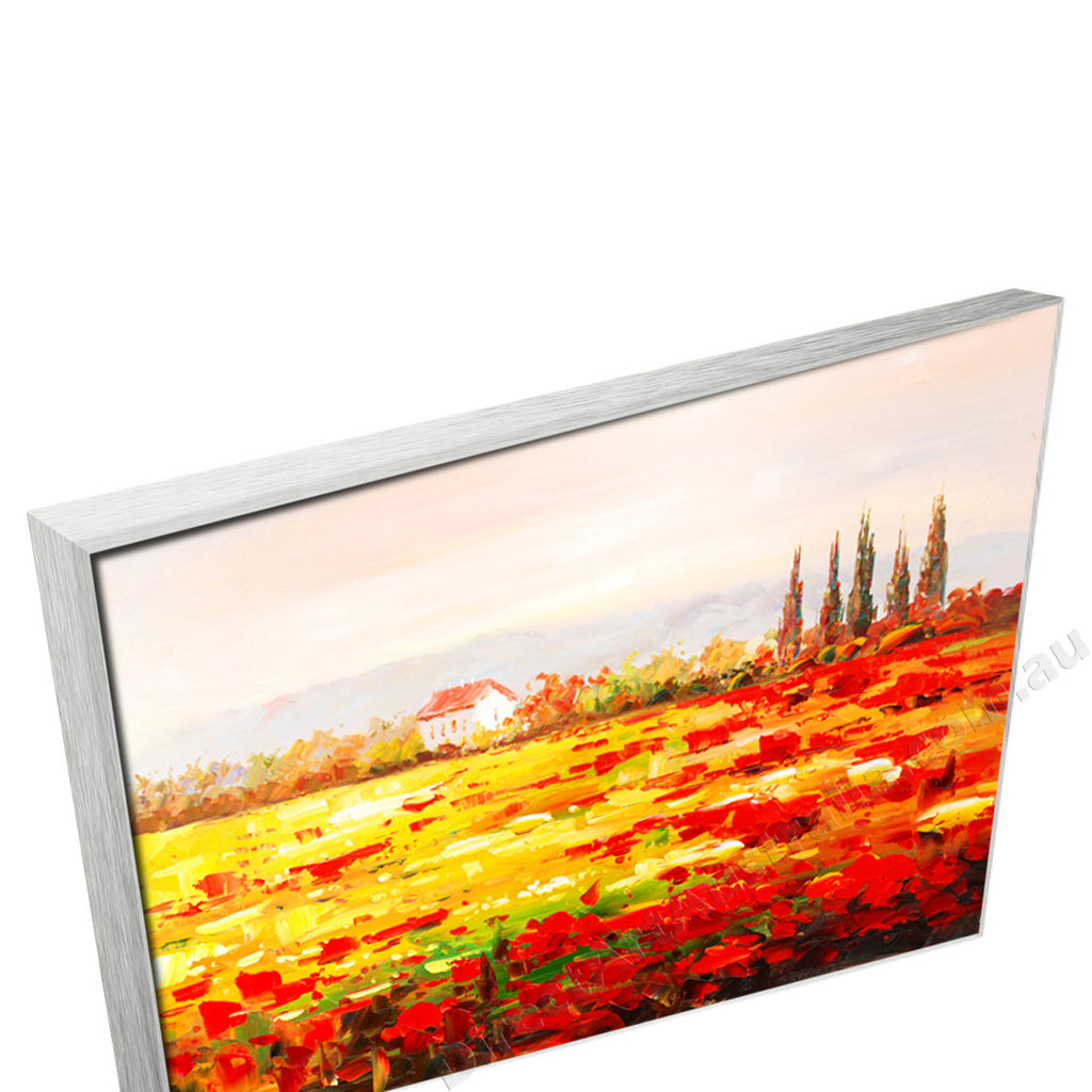 Silver Floating Frame
