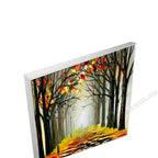 Silver Floating Frame