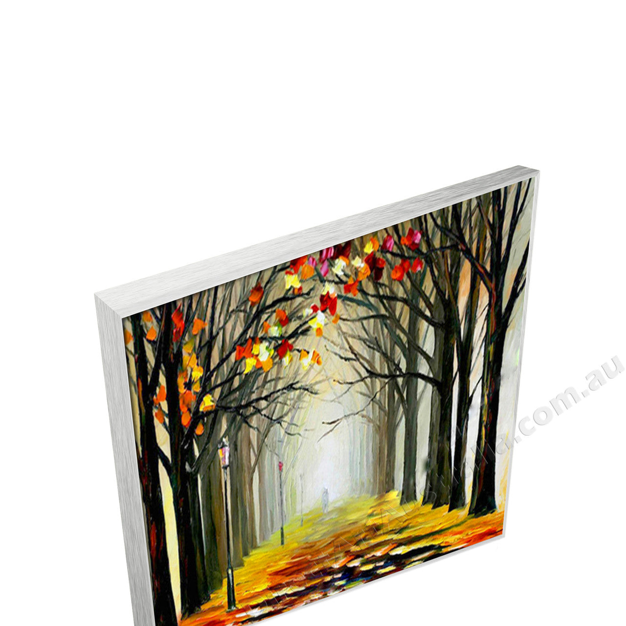 Silver Floating Frame
