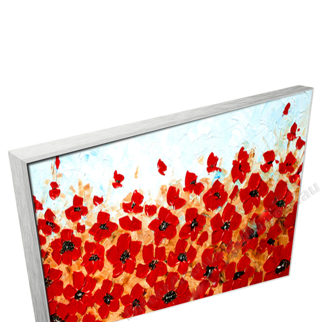 Silver Floating Frame