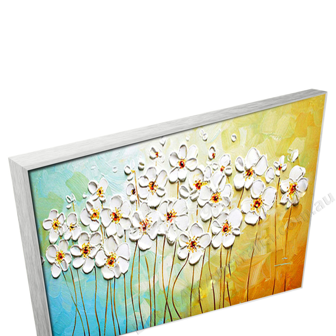 Silver Floating Frame