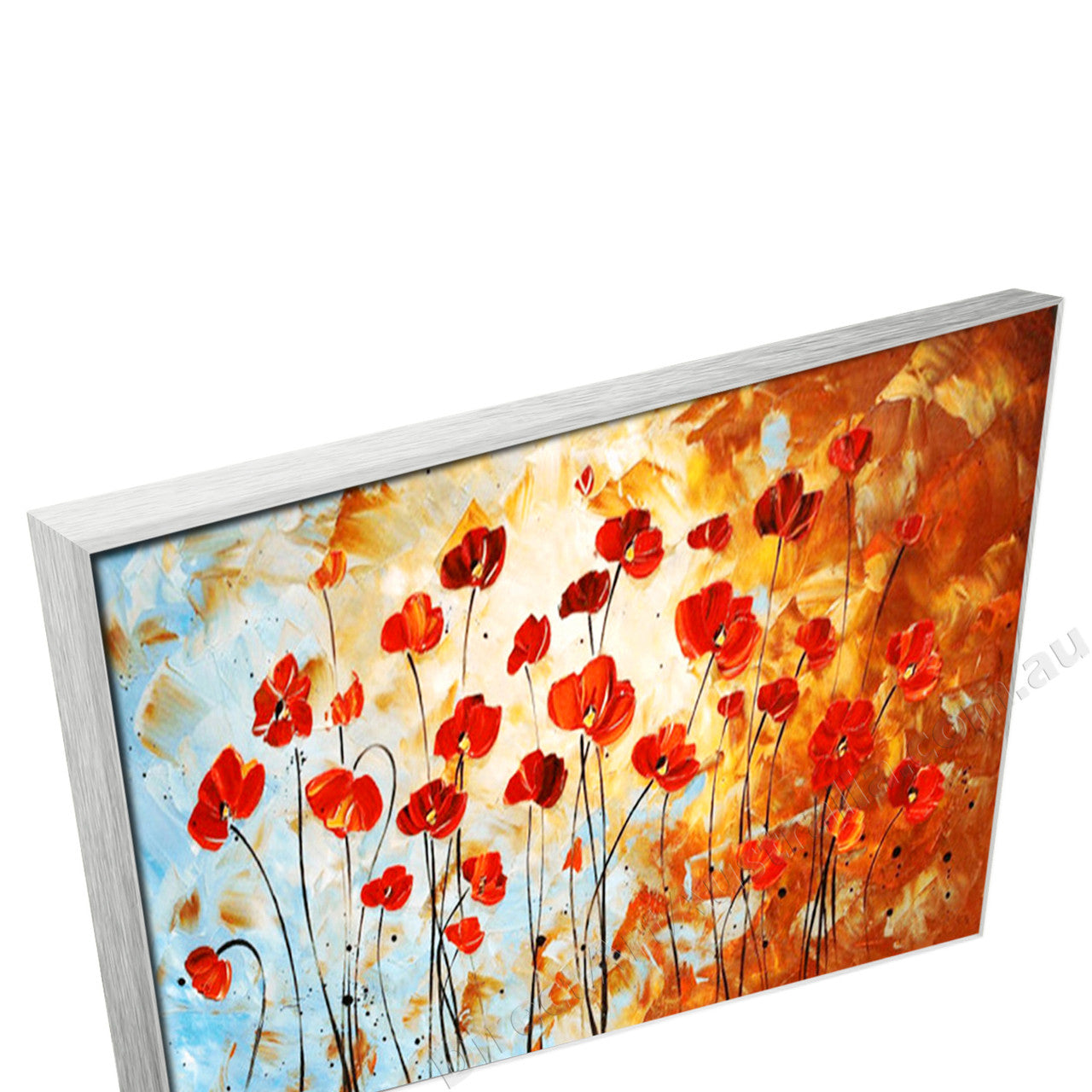 Silver Floating Frame