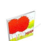 Silver Floating Frame