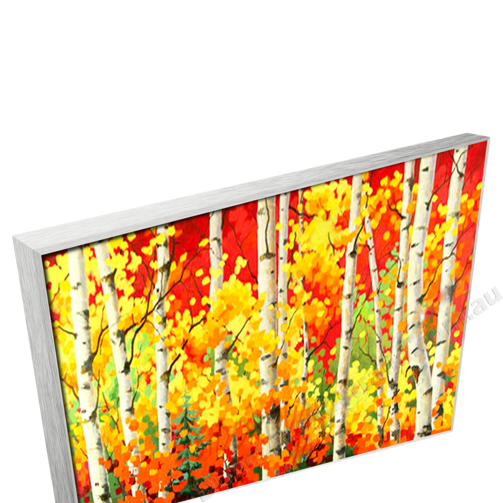 Silver Floating Frame