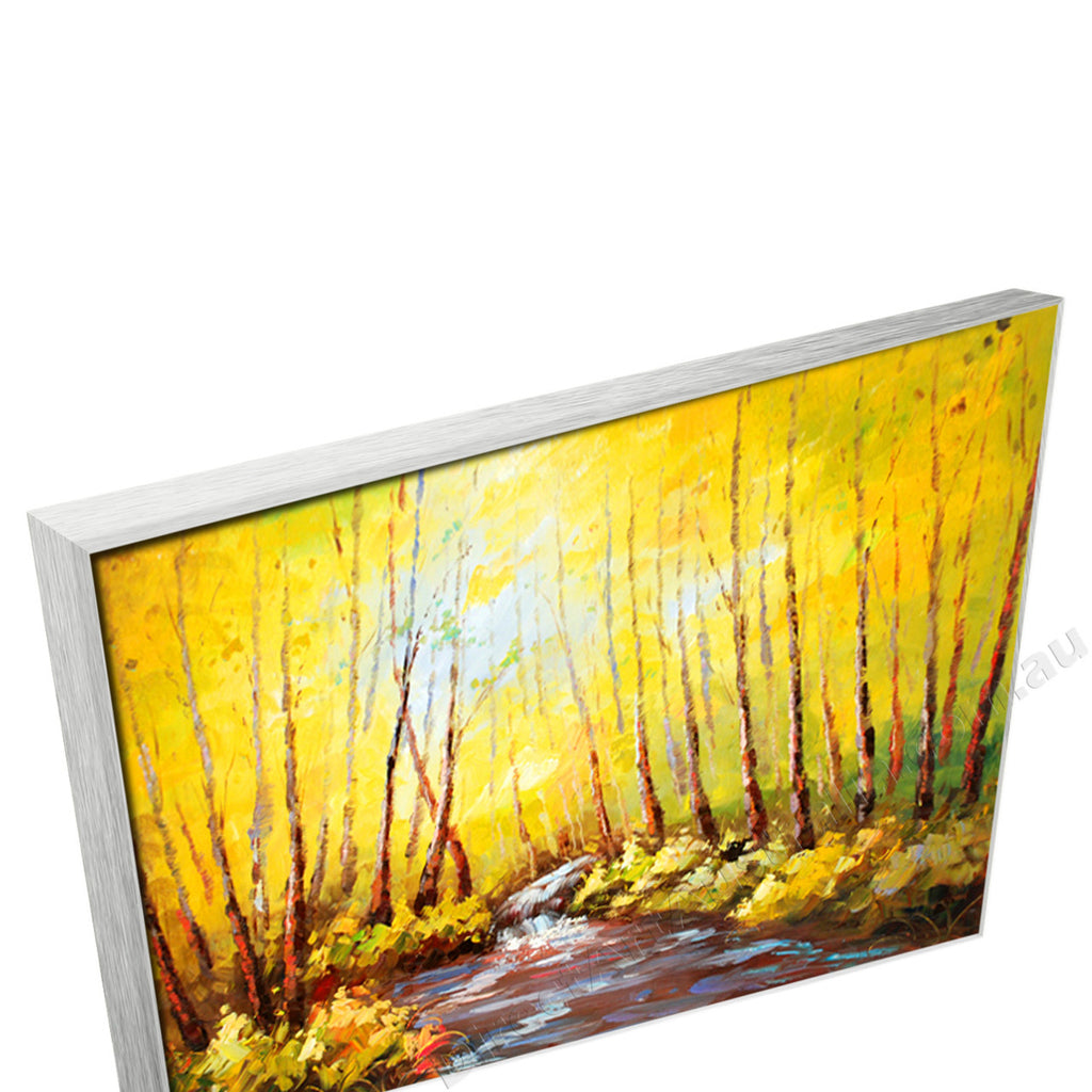 Silver Floating Frame