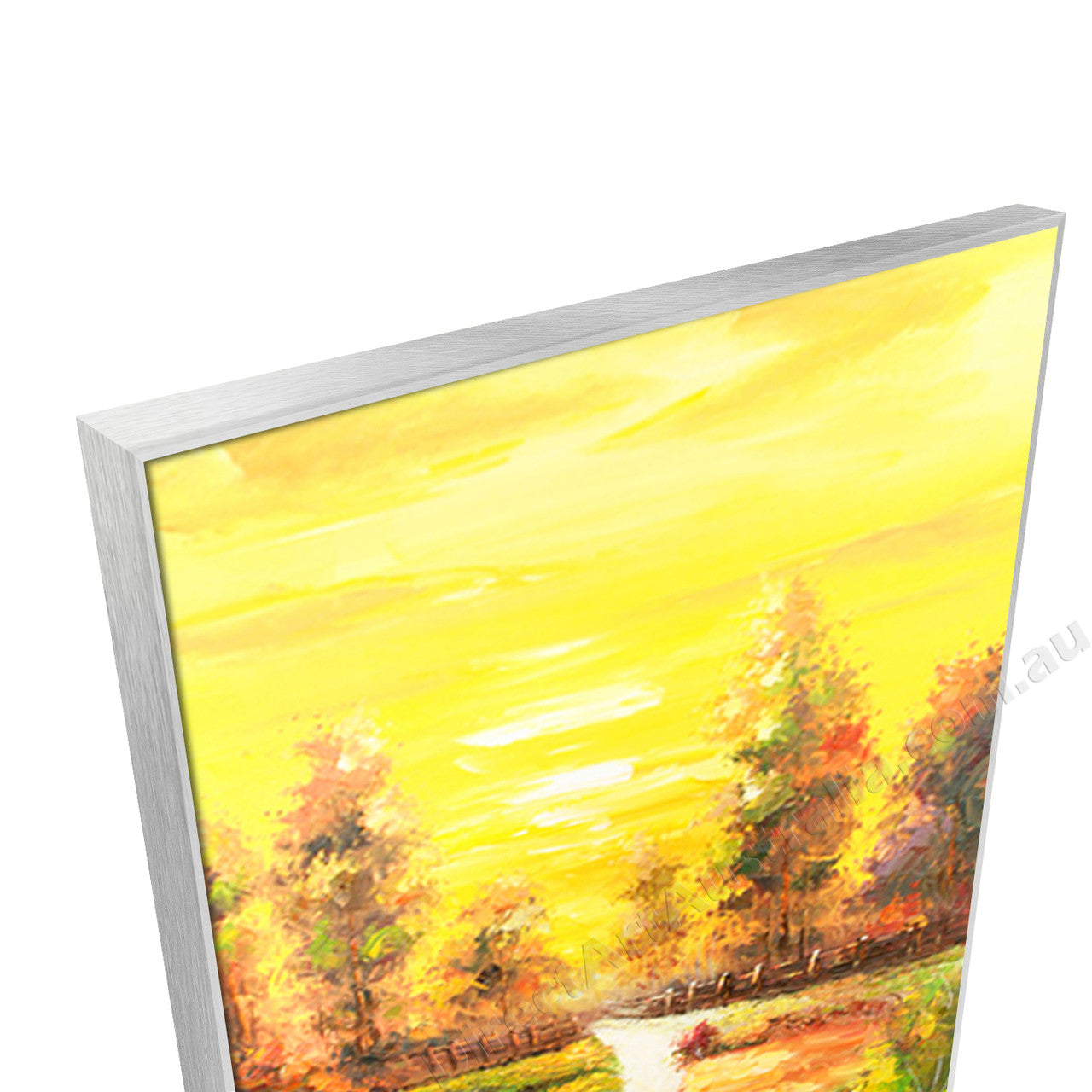 Silver Floating Frame